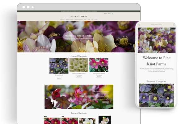 A screenshot from a website that sells flowers, there are many flowers shown
