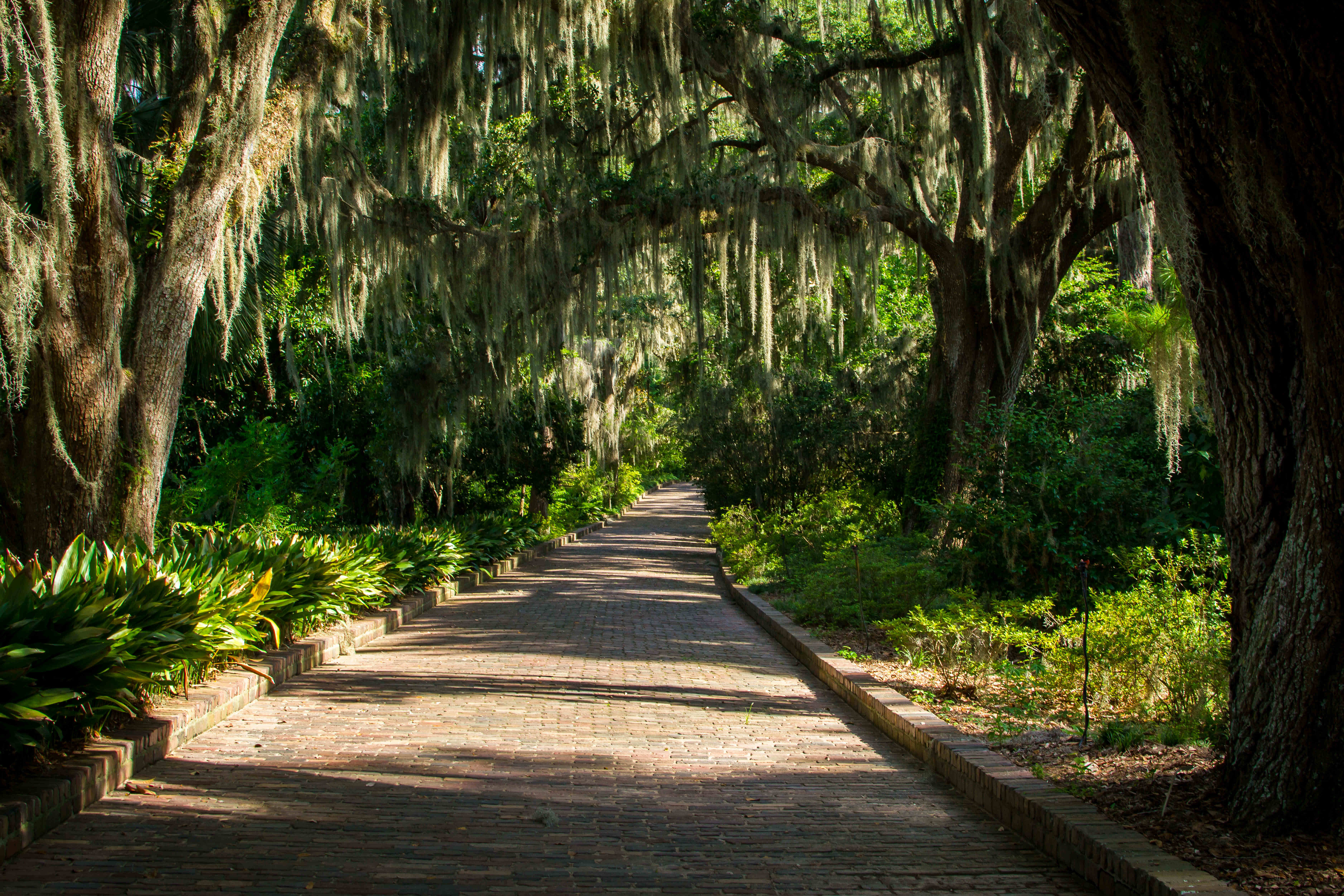 park stock image