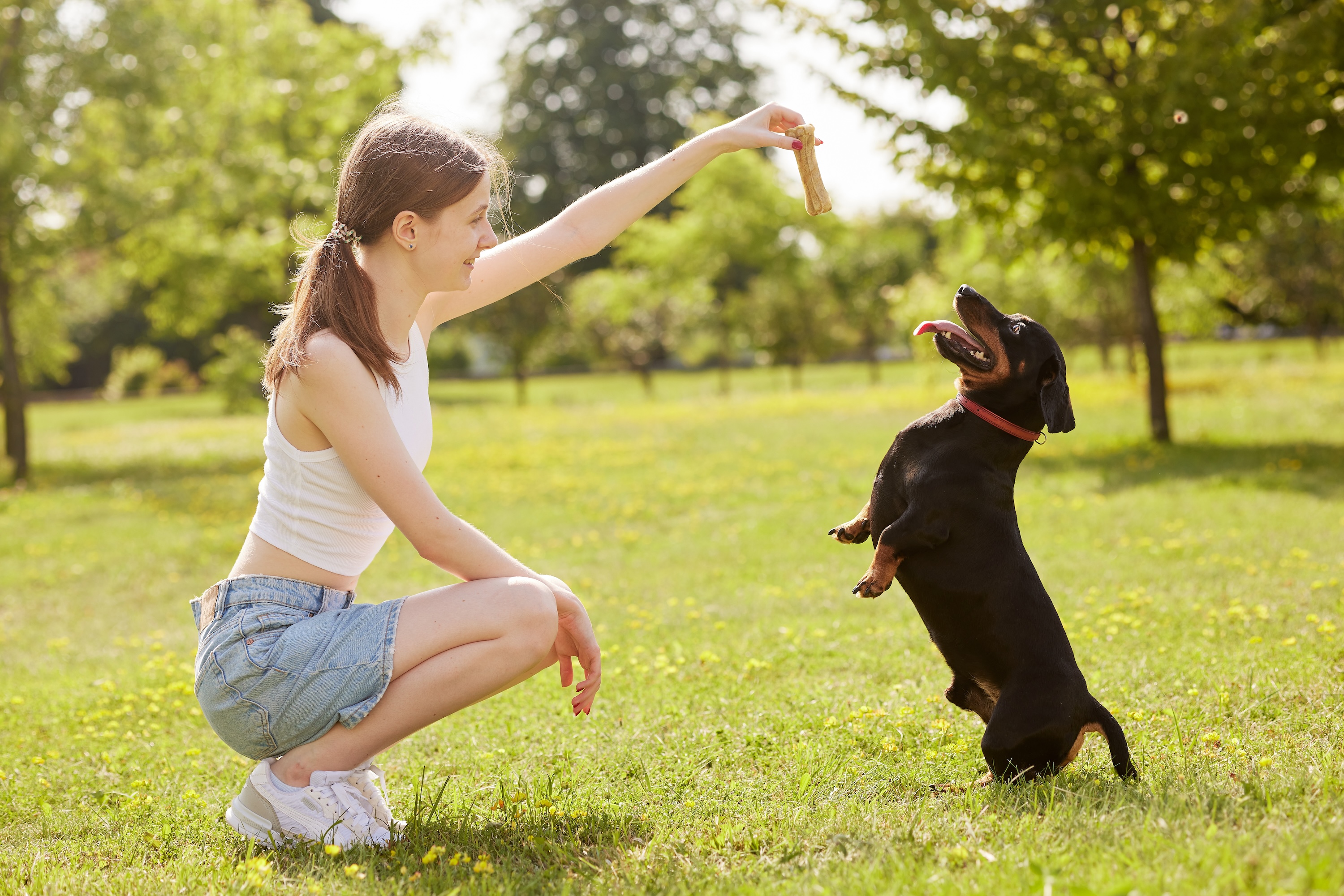 Resident playing with their dog in the expansive green space near The Cottages at Capital Circle pet-friendly apartments.