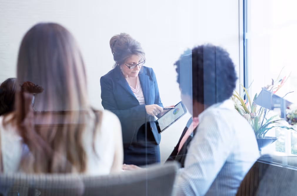 IT Project Management