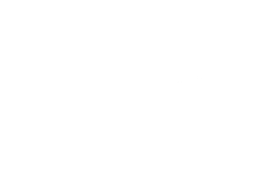 Andoya Space logo