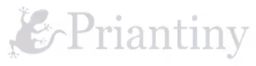Logo Priantiny avec un personnage stylisé tenant un pinceau.