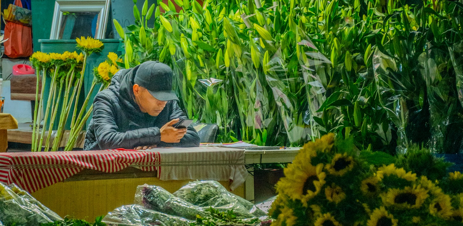 Homme consultant son smartphone devant un étal de fleurs