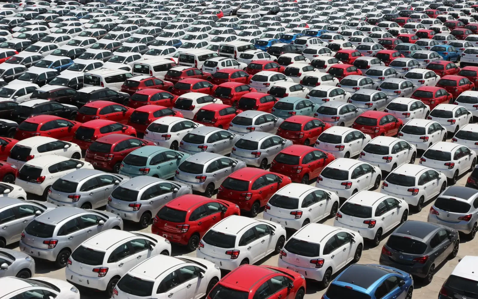 Rows of vehicles staged across an auction lot