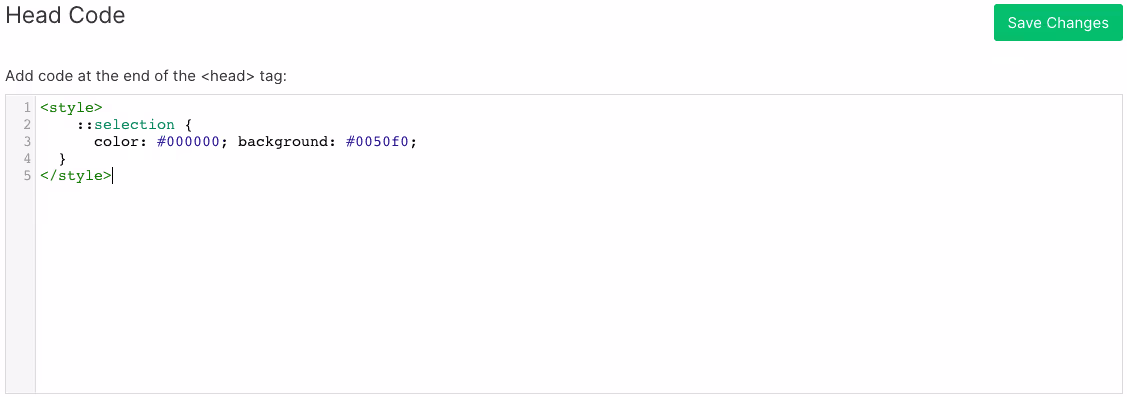 Webflow Head code