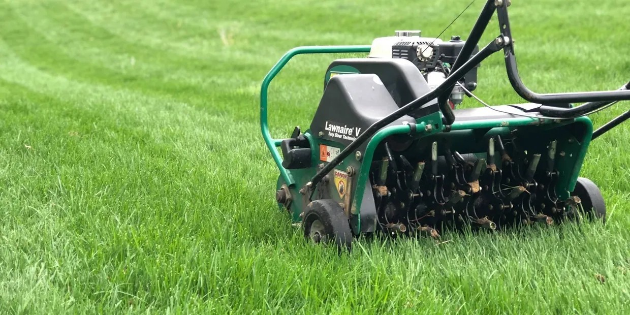 Lawn Aeration