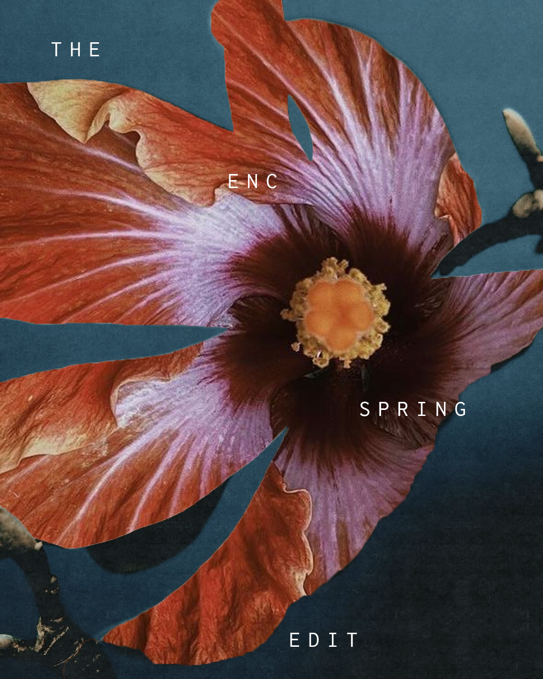 Cover image of each blog post of ENC Agency