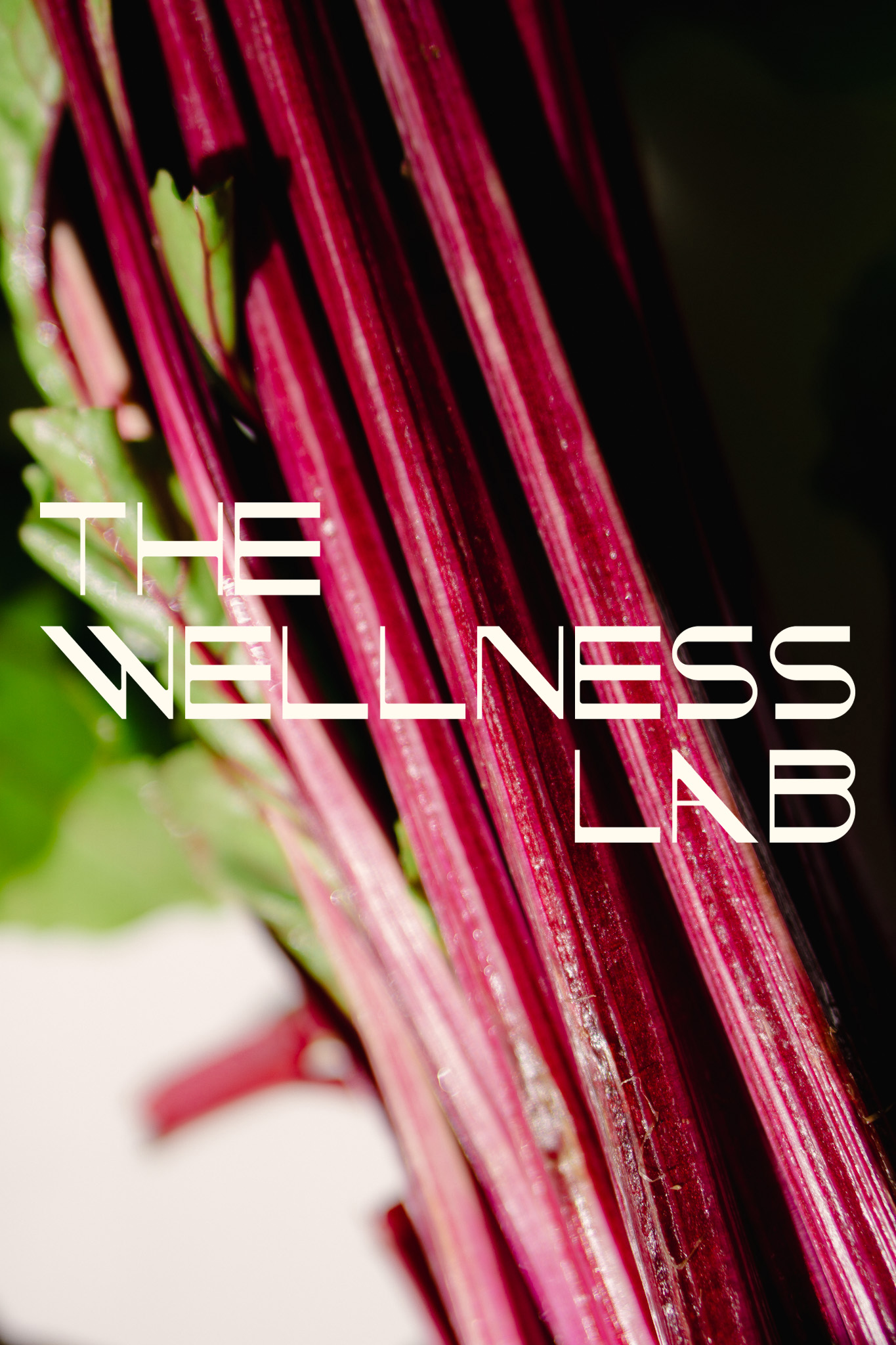 When Katlyn Tekoppel first came to ENC, what she had built was already working. Clients trusted her, women were getting results, but the brand didn’t yet reflect the depth of the philosophy behind it. Katlyn’s work lives in the space between two systems that often fail women: traditional healthcare that dismisses symptoms and functional medicine that can feel financially out of reach. Her vision was to build a place where science, lifestyle, nutrition, and accountability come together in a way that is both intelligent and accessible. Our role was to translate that vision into a brand. Together, we developed the strategic messaging, visual identity, and digital experience for The Wellness Lab; a brand built around experimentation, education, and personalized care. The concept of the “lab” became central: a place where women can test, learn, and evolve strategies that actually work for their bodies. The messaging anchors the brand in its core belief: moving “from healthcare as it is to wellness as it should be.” From there, we crafted a narrative that positions The Wellness Lab as a stepping stone between confusion and clarity, helping women connect the dots between symptoms, lifestyle, hormones, nutrition, and movement. Visually, we created a brand that feels elevated but grounded, balancing strength, warmth, and curiosity. The color palette, typography system, and imagery direction work together to evoke vitality, experimentation, and trust while remaining approachable and human. Beyond the strategy and identity, we brought the brand to life with a lifestyle shoot that captured the real energy of the practice: movement, nourishment, and the quiet confidence that comes from finally understanding your body. The result is a brand platform that gives Katlyn the structure to scale. From coaching programs to group experiences to future practitioner training, The Wellness Lab now has a foundation that supports both growth and impact.