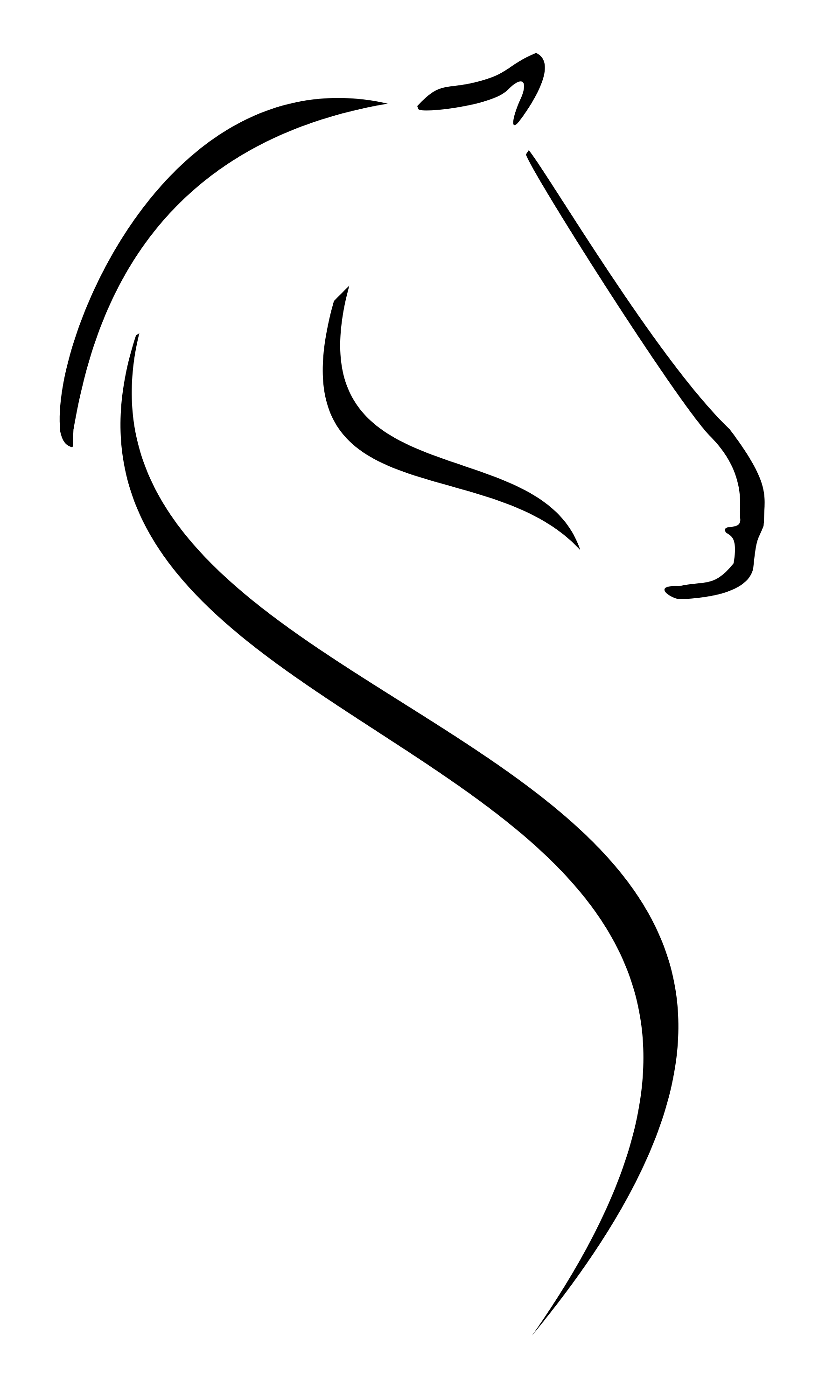 Risen Ranch Logo