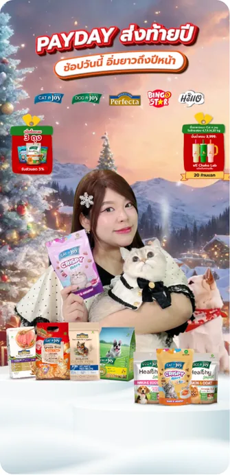 Pet live
