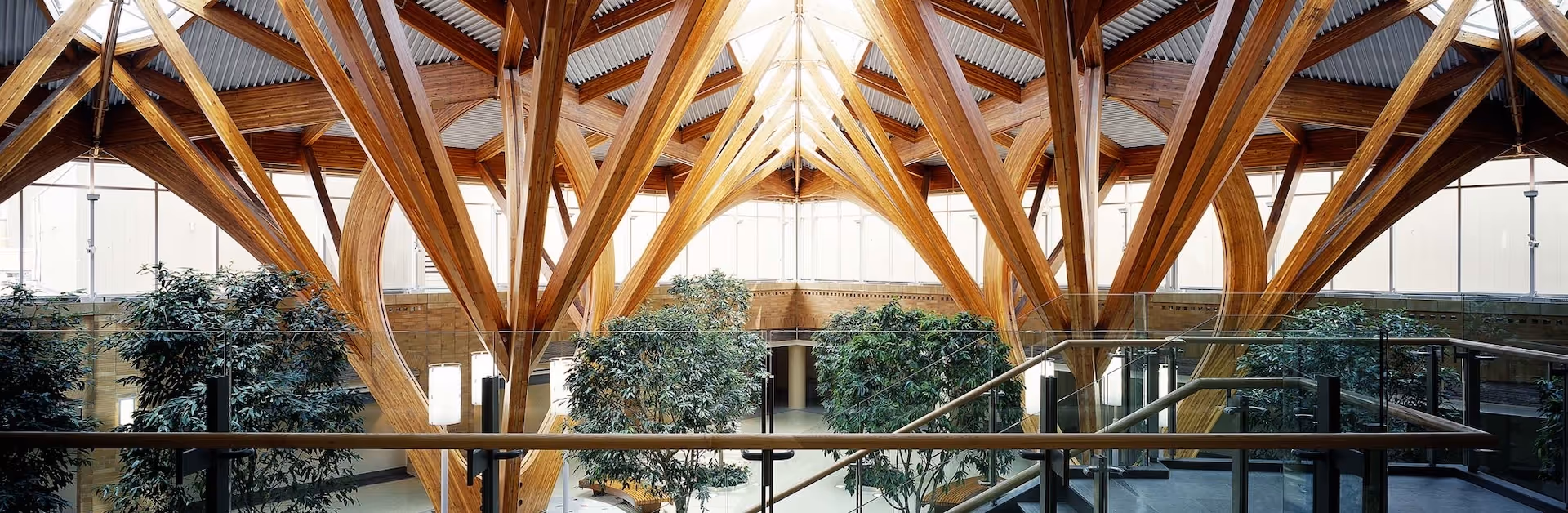 Atrium interior featuring exposed glulam timber arches, skylights, and indoor greenery, showcasing natural light and structural craftsmanship.