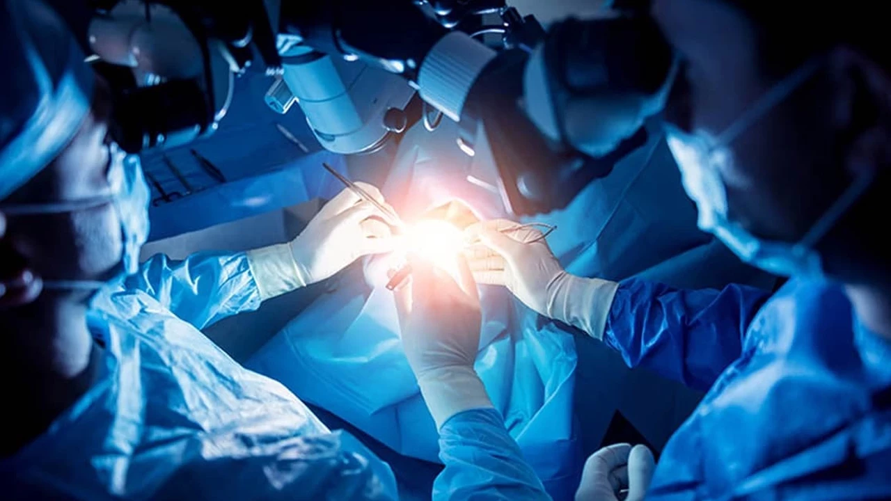 Uluslararası hasta hizmetleri