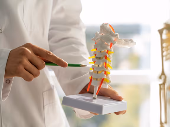 Kifoz Açısı – Normal ve patolojik eğrilik karşılaştırması