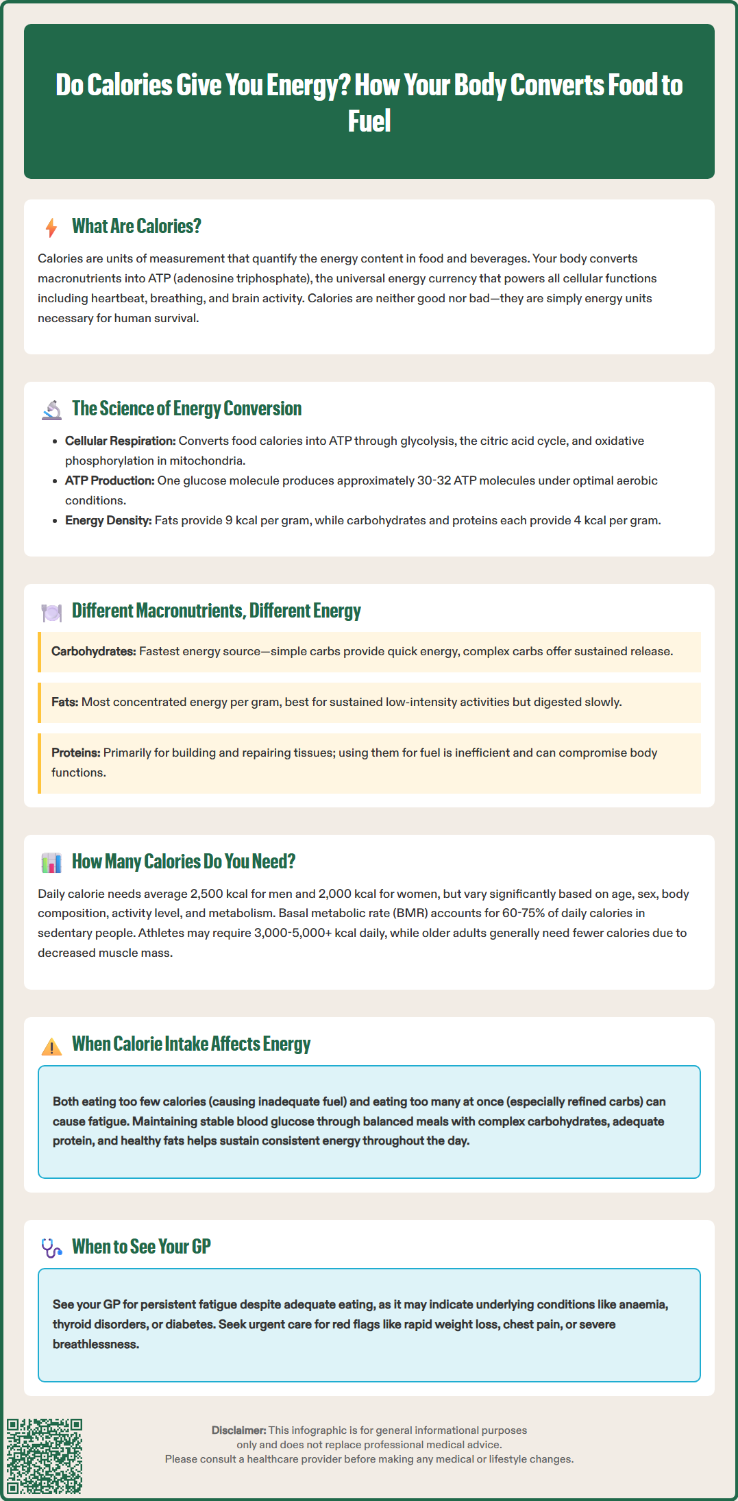 does calories give you energy