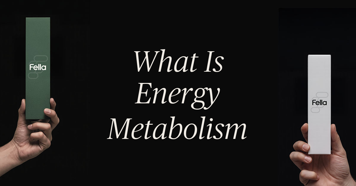what is energy metabolism