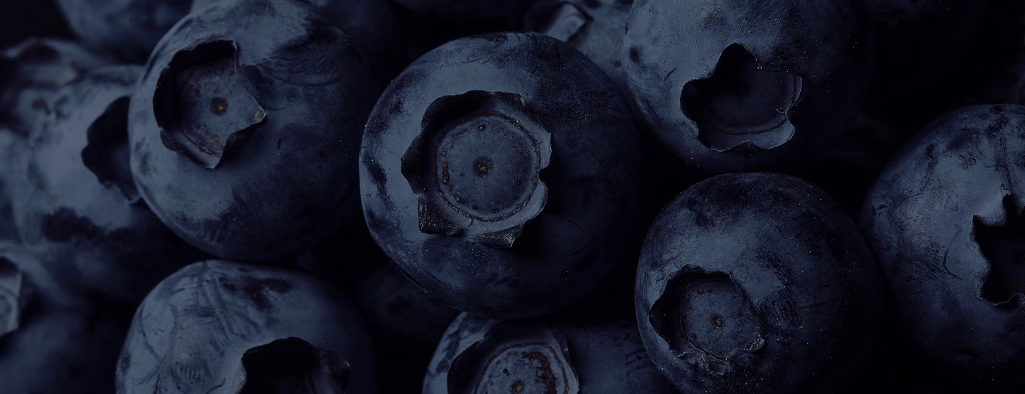 Close-up of fresh dark blueberries filling the frame.
