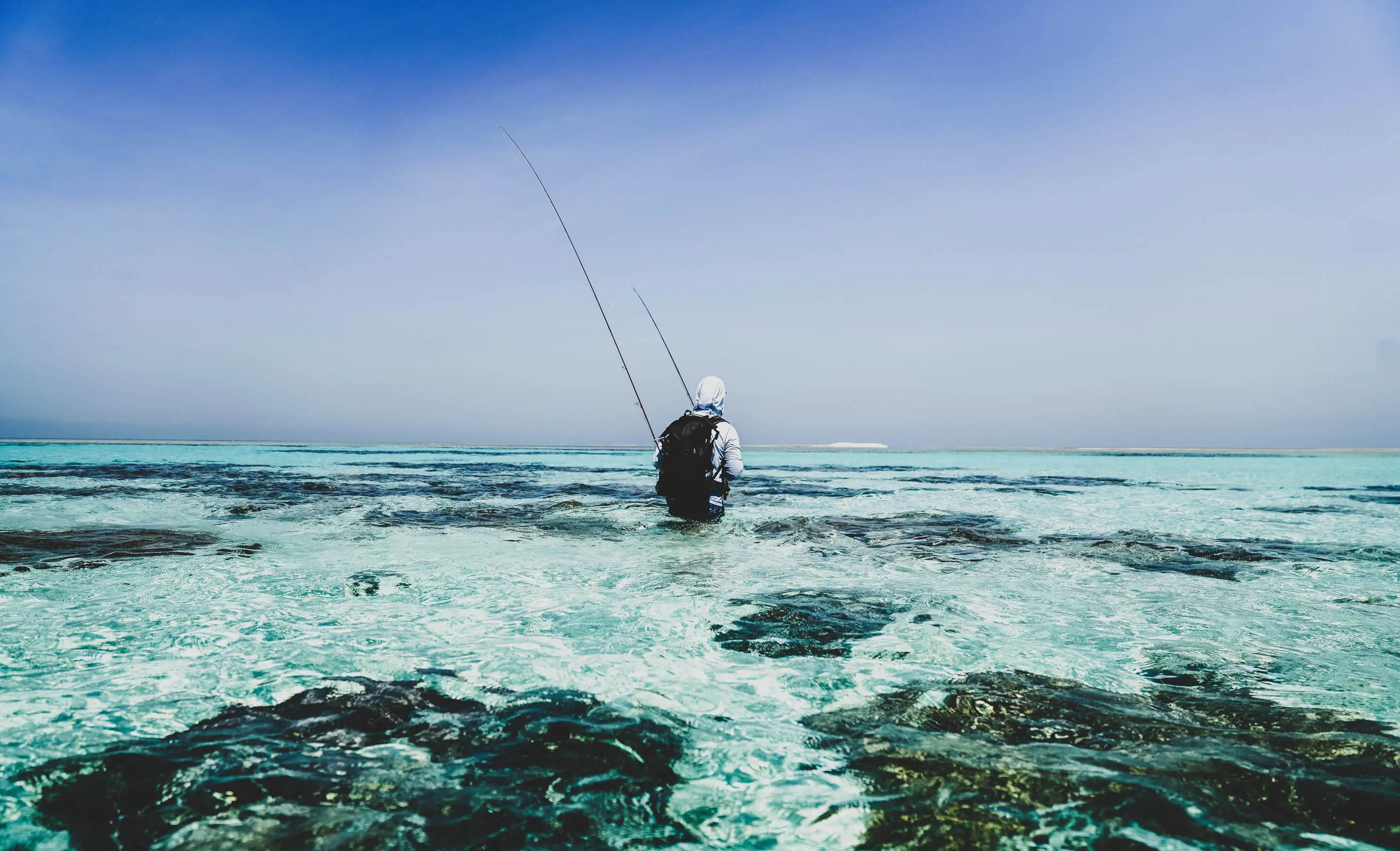 Surf & Fish