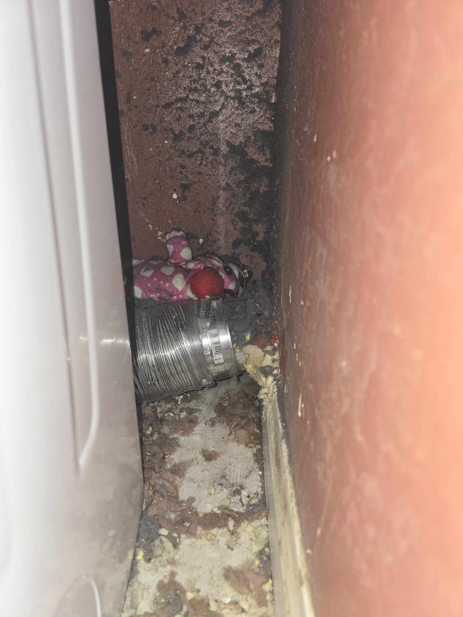 Ant infestation treatment in Temecula CA near dryer vent and wall area