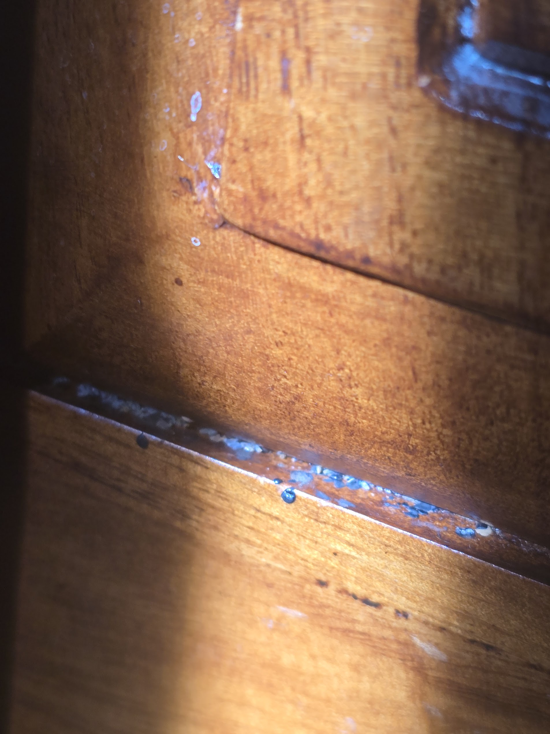 Rat removal in Temecula CA with rodent droppings found inside cabinet