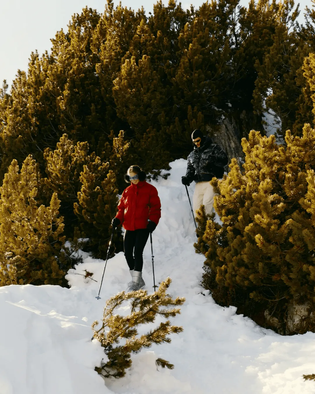 Image of two people skiing