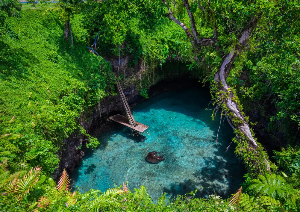 A vibrant sinkhole pool with turquoise water surrounded by lush green foliage. A wooden ladder leads into the water, evoking a sense of serene adventure.