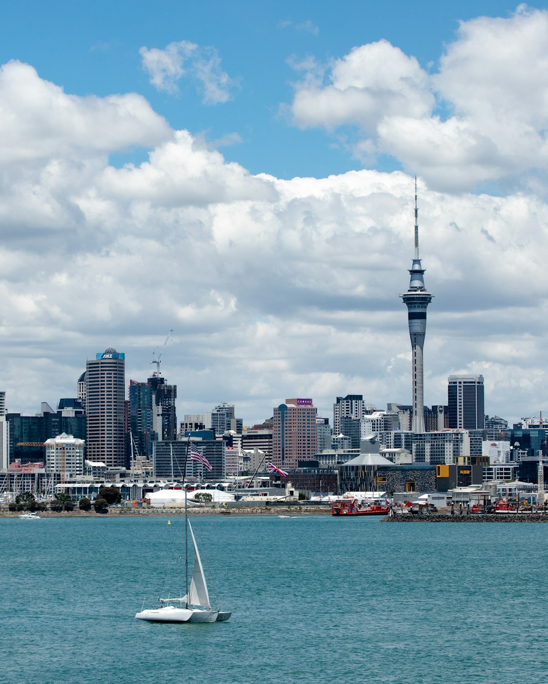 The Sky Tower and Auckland skyline across the harbour, with a sailboat on the water under a blue sky.