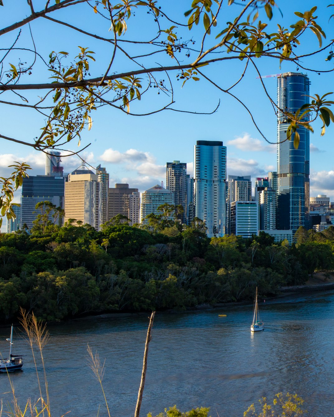 Brisbane's skyscrapers rising above the river and trees, with sailboats on the water.