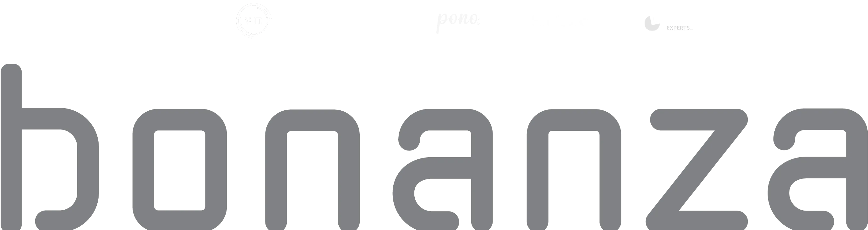 Bonanza Group logo with the small logo's of the subcompanies on top.