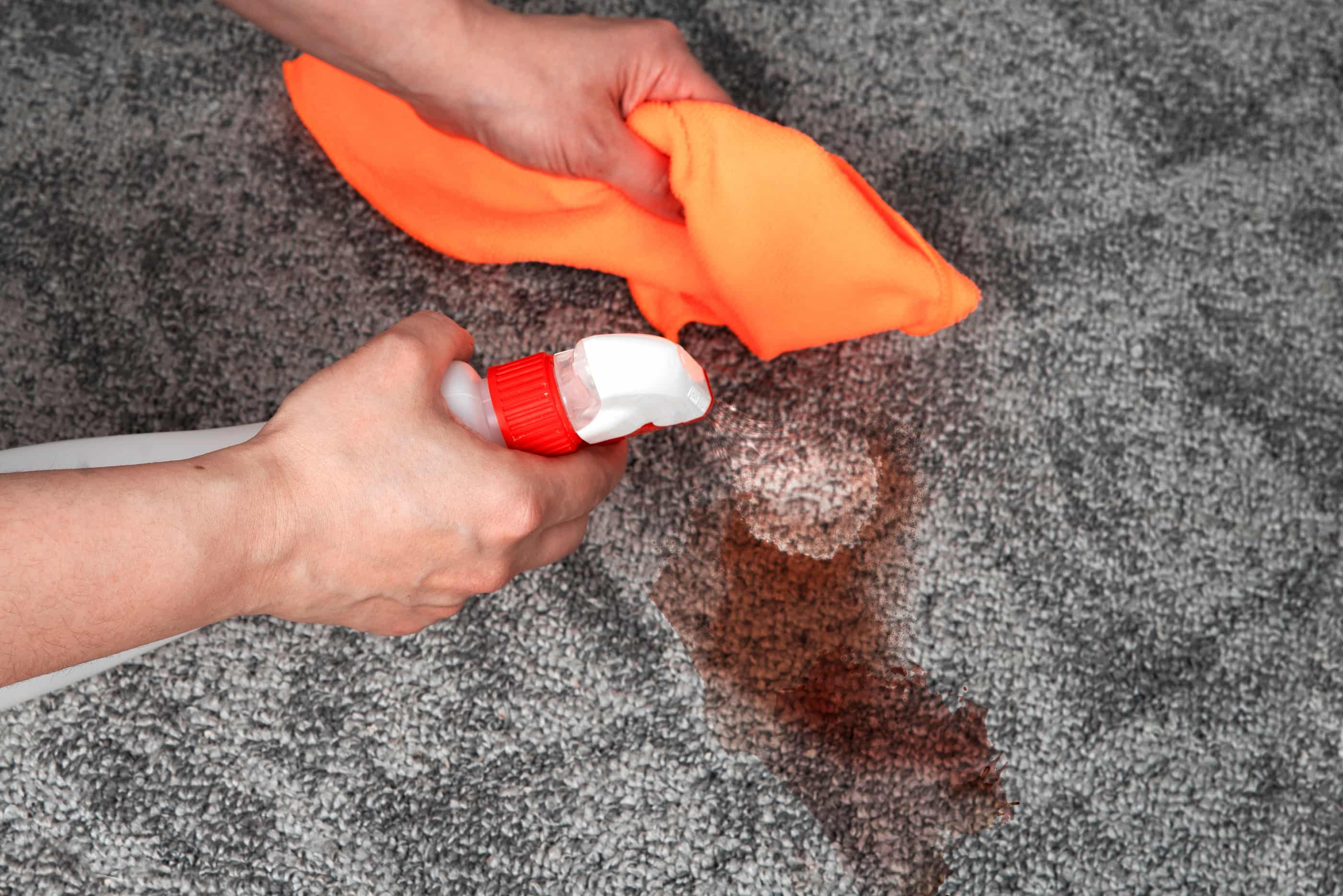 Dark stain, dirty spot on a carpeted floor, hand with cleaning cloth, stain remover spray.