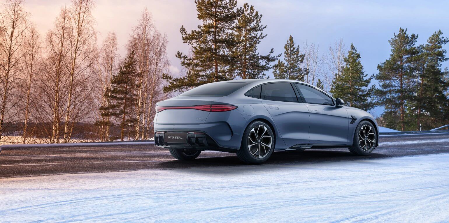 BYD DOLPHIN, Ansicht Fahrerseite, Radträger