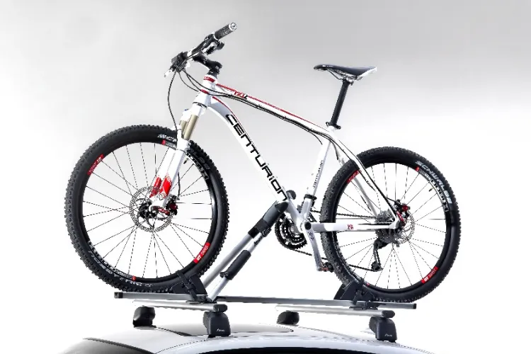 Fahrradträger, Dach