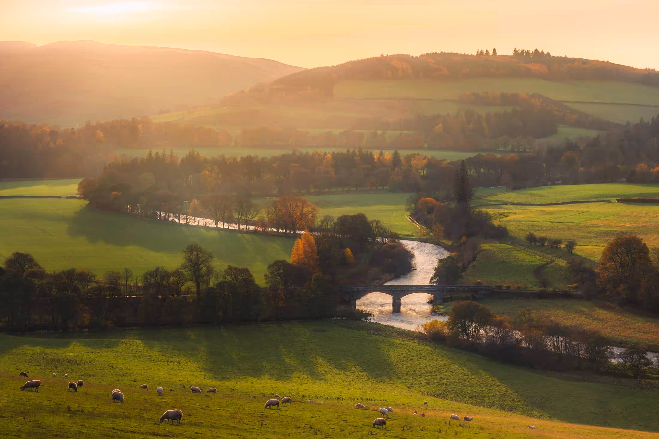Scottish-borders-easterknowe River Tweed