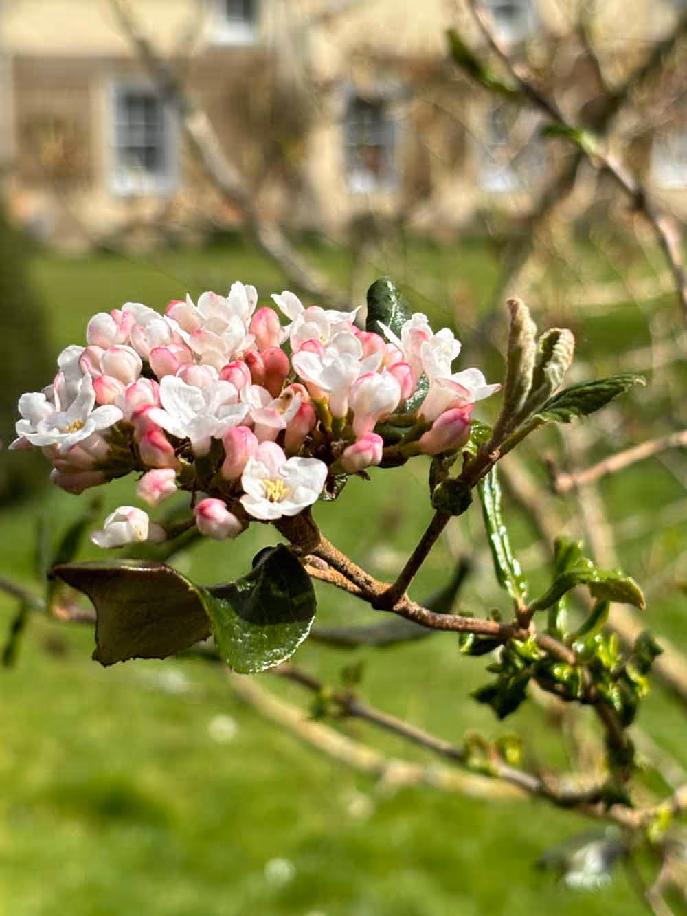 Luxury Accommodation Scottish Borders Easternowe-garden