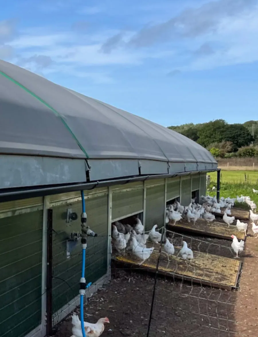 Mobile Poultry Housing