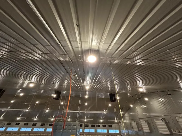 Industrial ceiling with multiple hanging LED light fixtures and metal panels.