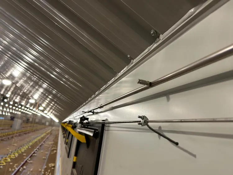 Interior view of a large industrial poultry house with metal pipes and feeding system along white walls.
