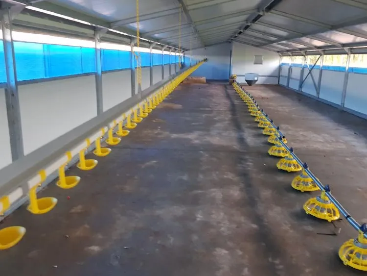 Empty poultry feeding system with yellow feeders inside a metal-roofed barn.