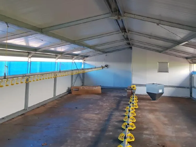 Interior of an empty agricultural poultry house with yellow hanging feeders and drinkers along the walls.