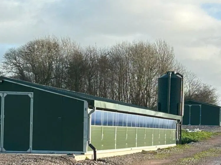 Green agricultural buildings with silos beside them and leafless trees in the background under a cloudy sky.