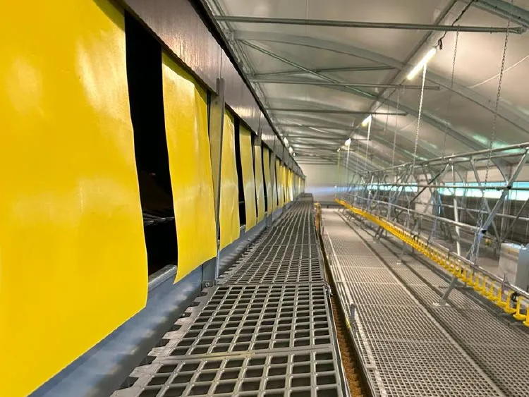 Interior of a poultry layer shed with yellow ventilation curtains and metal mesh flooring under a curved roof.