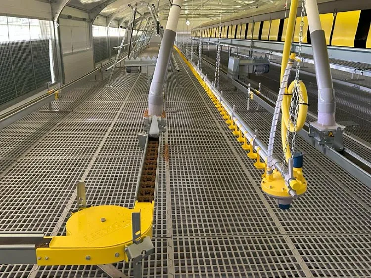 Interior view of a large poultry layer shed with metal grid flooring and automated feeding system.