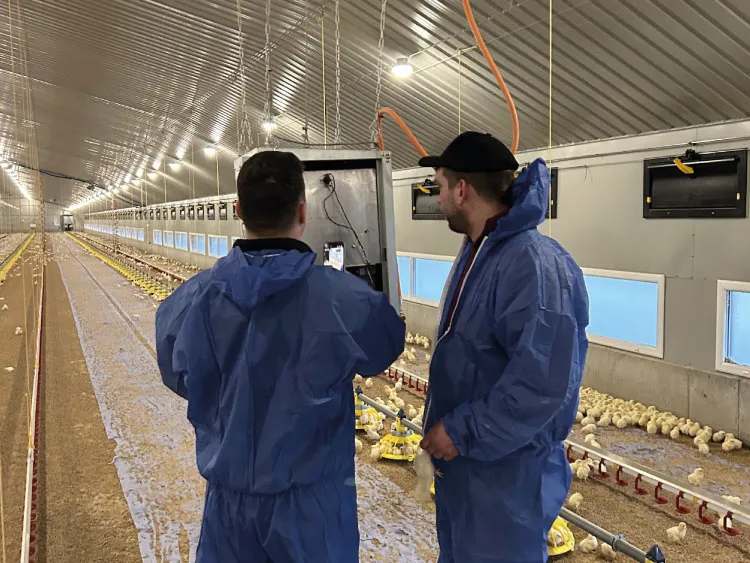 Two men in blue coveralls inspecting equipment inside a large poultry shed with many chicks on the floor.
