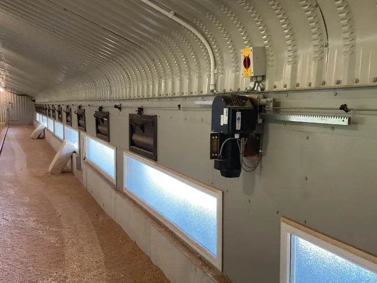 Interior of a long, curved, metal broiler shed with ventilation panels and an automated fan system.