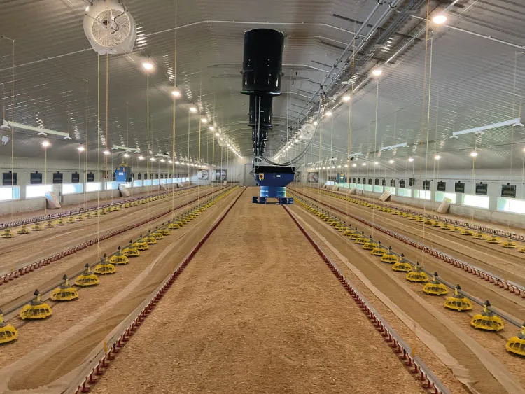 Interior of a large, empty poultry broiler shed with automated feeders and ventilation fans.