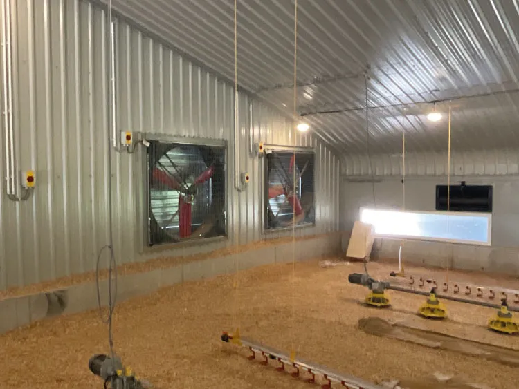 Interior of a large broiler shed with metal walls, ventilation fans, and feeding systems on wood shavings floor.
