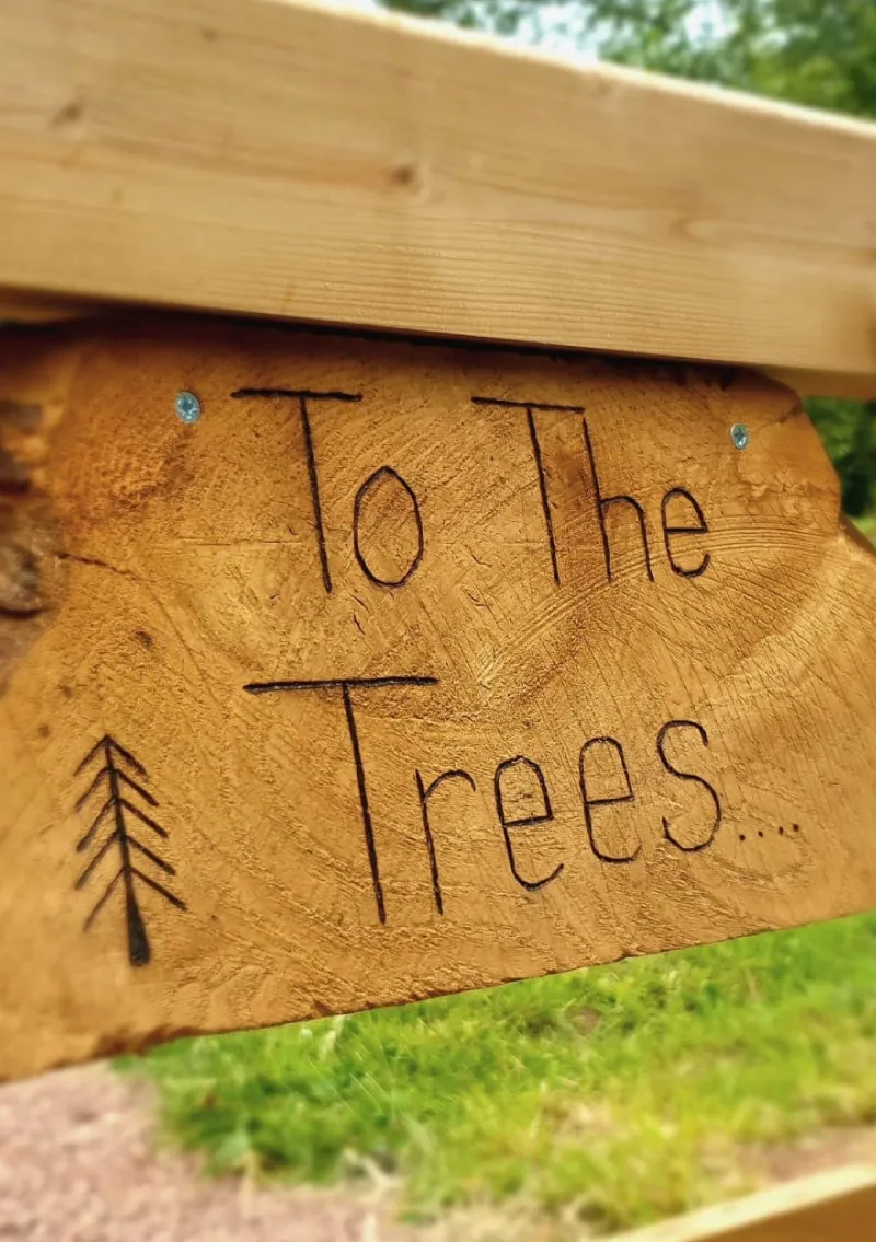 To The Trees - square image 1 