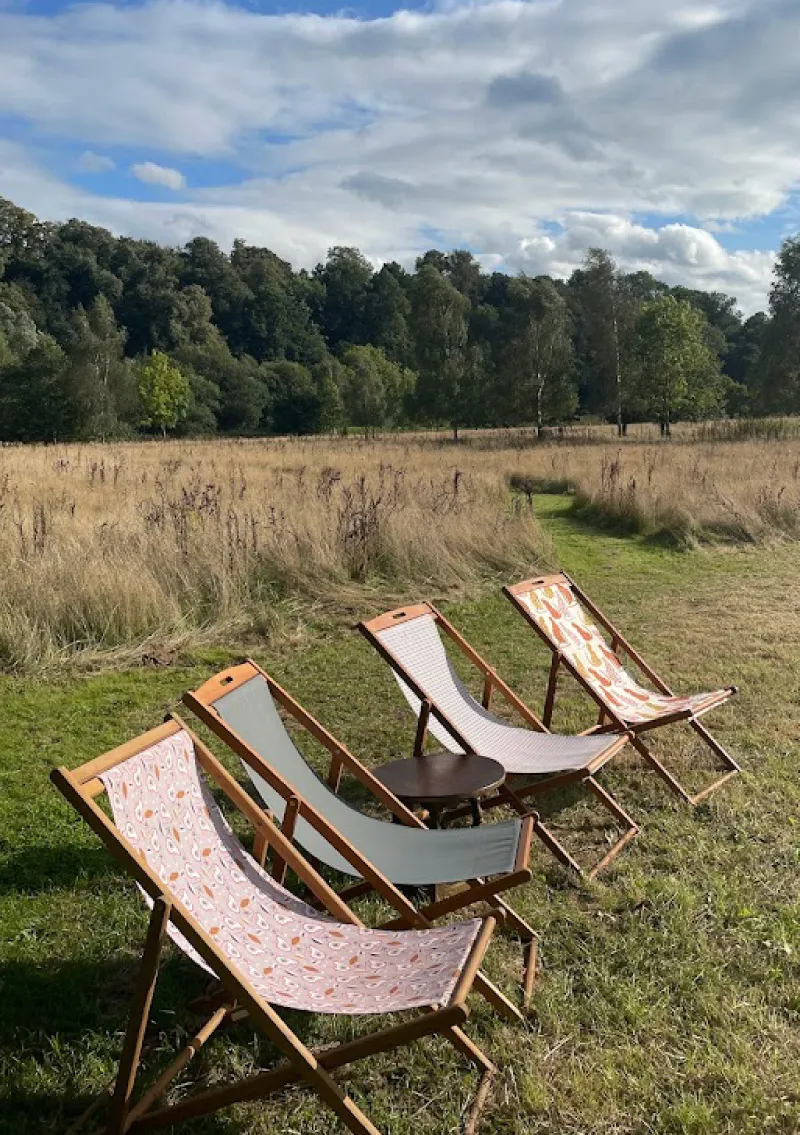 To The Trees - square image 3 deck chairs outside