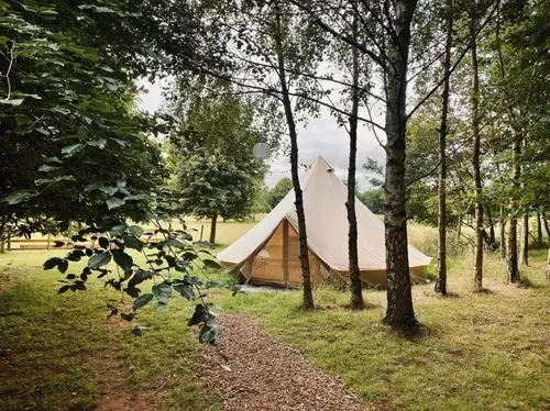 To The Trees - image outside woods