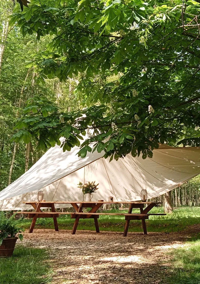 To The Trees - square image 5 tipee