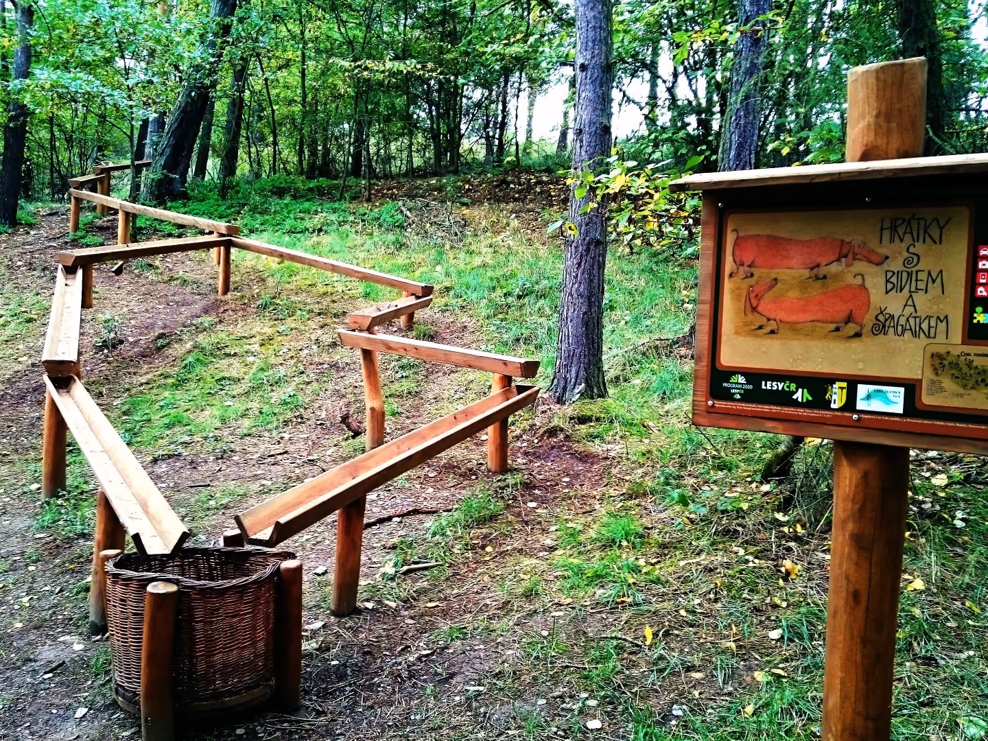 forest trail zlutice